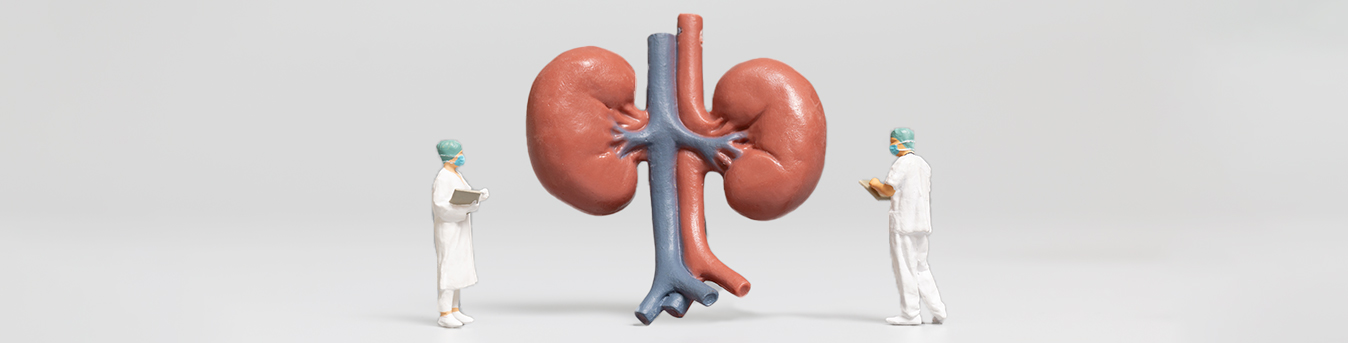 Kidney diseases myths that need to be busted