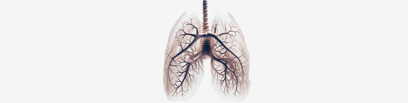 Quit Smoking for the sake of your lungs