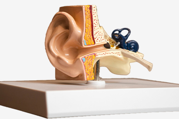 Cochlear Implant: A revolutionary Bionic Ear